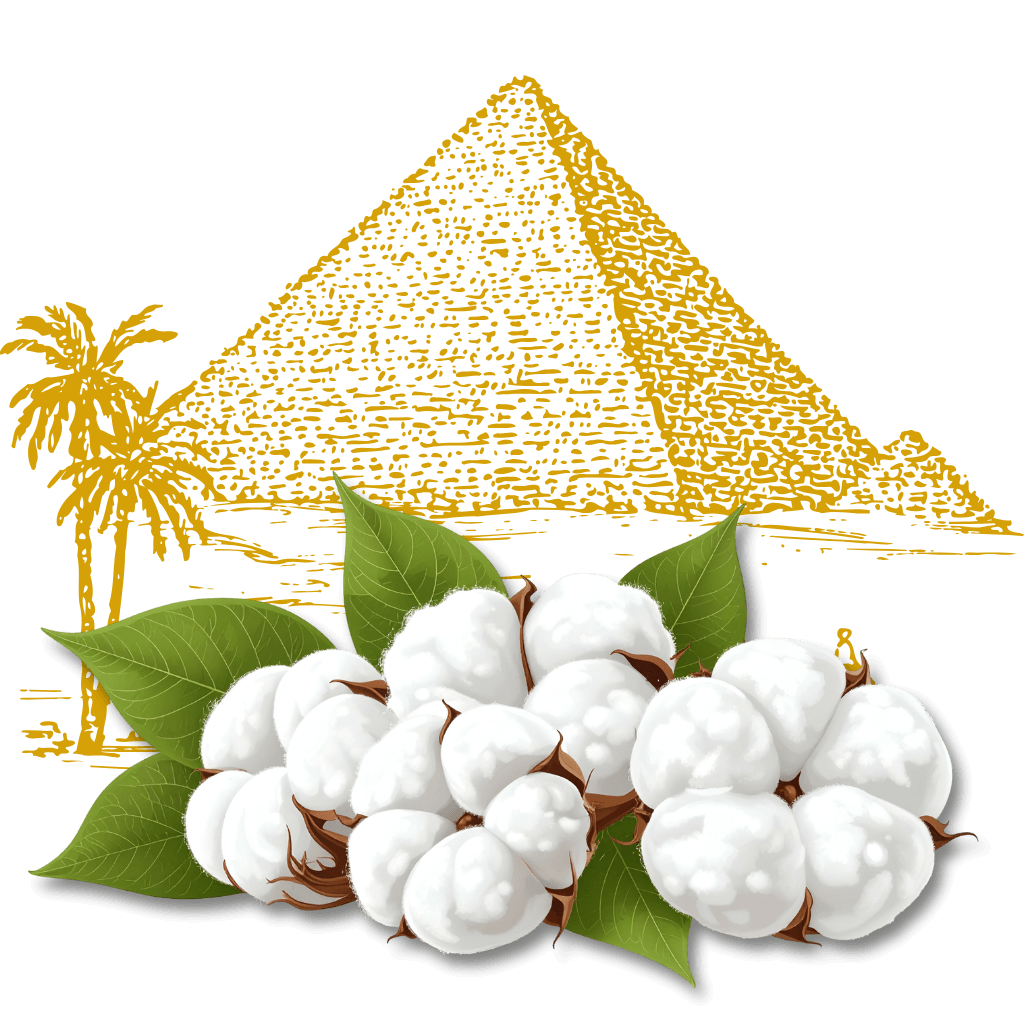 Egyptian Comfort